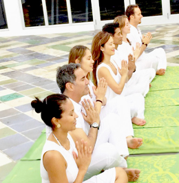 Guided Meditation & Energy Healing